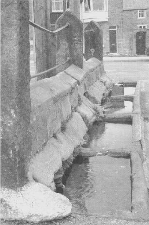 picture of market place troughs